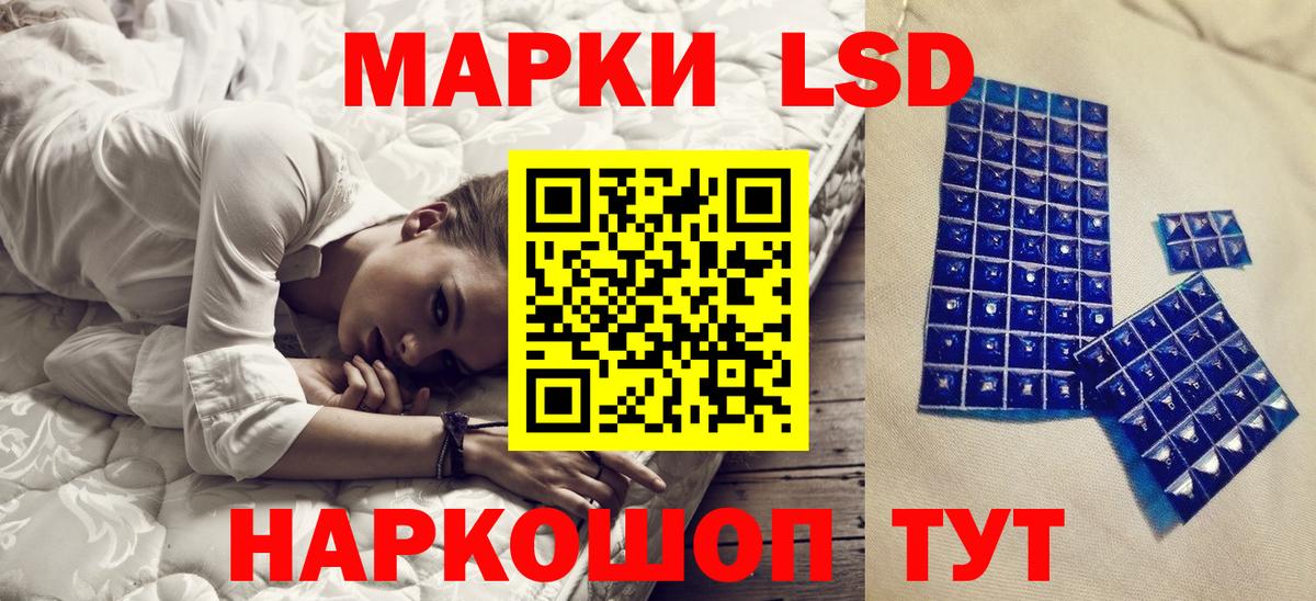 Вольск  Наркотические марки  Наркотические марки 1500мкг  Вход с VPN  Наркотические марки 1500мкг 