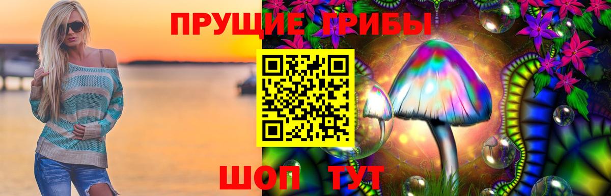 Псилоцибиновые грибы Cubensis  Псилоцибиновые грибы Cubensis  Вход с VPN  Вольск 